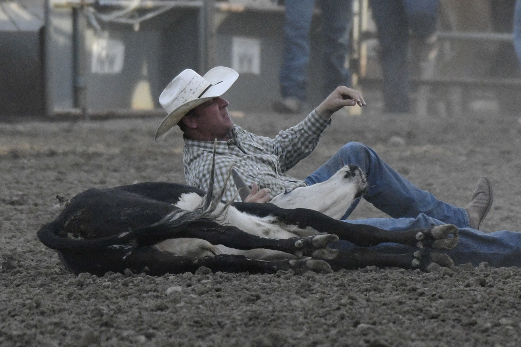 Rodeo